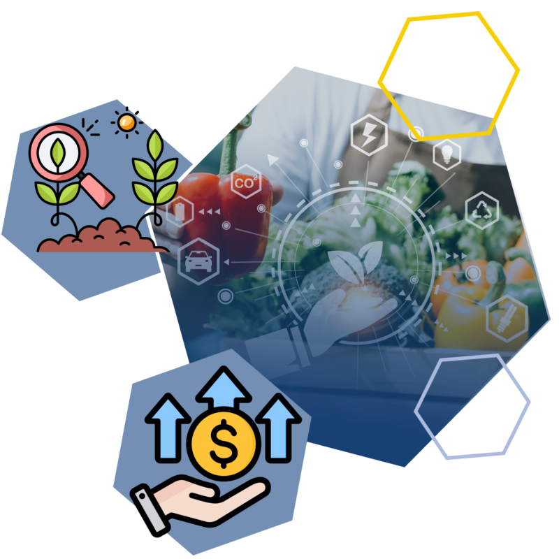 UNIONALIMENTARI CONFAPI ED ENTE CERTIFICATORE CSQA 
